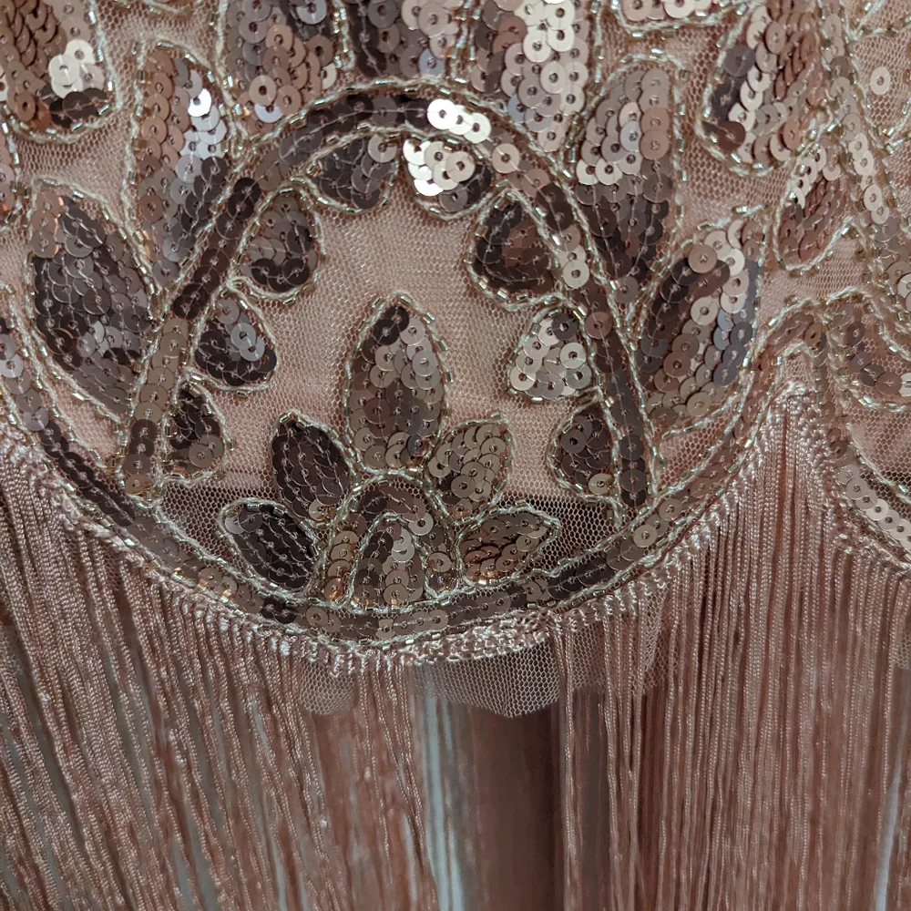 Kayamiya rose gold blush flapper dress sequin fringe size small (read condition)